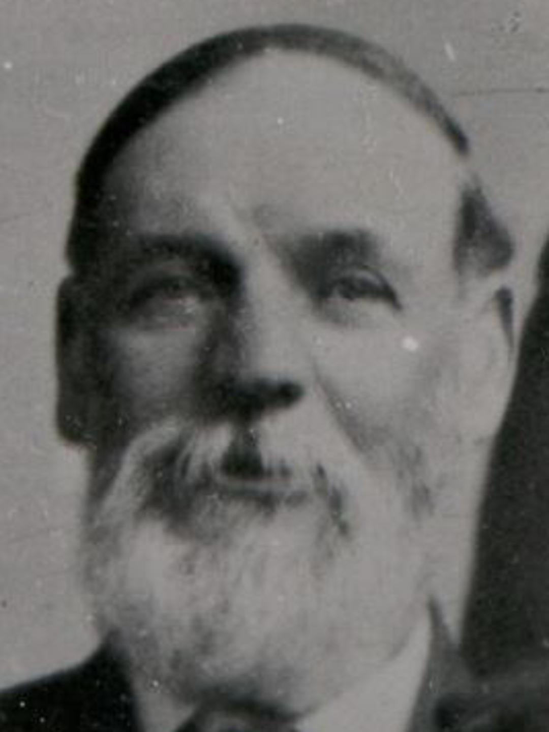 William Crowther Mitton (1844 - 1924) Profile